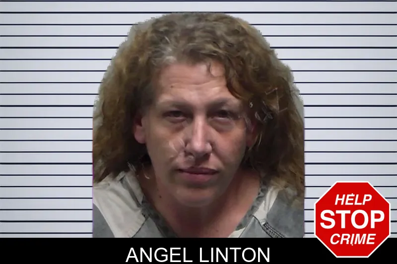Angel Linton mugshot – Tift County , Georgia Angel Linton mugshot