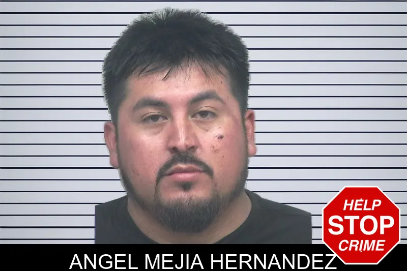 Angel Mejia Hernandez mugshot – Gwinnett County , Georgia Angel Mejia Hernandez mugshot
