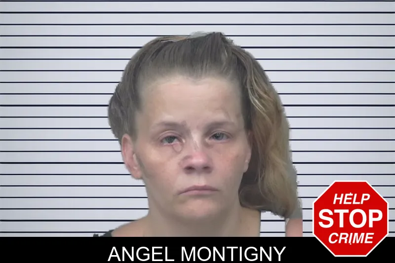 Angel Montigny mugshot – Gwinnett County , Georgia Angel Montigny mugshot
