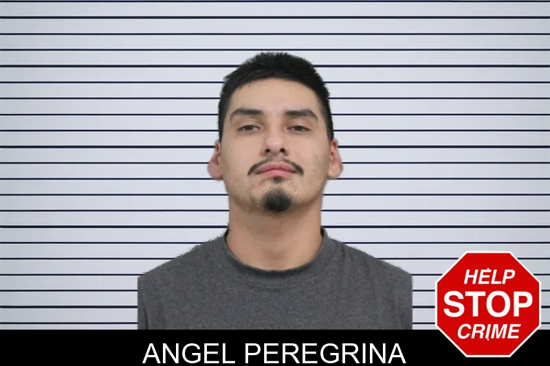 Angel Peregrina mugshot