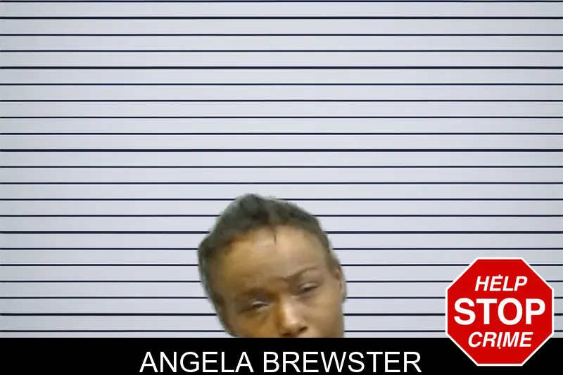 Angela Brewster mugshot – Fulton County , Georgia Angela Brewster mugshot