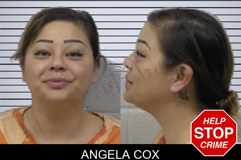 Angela Cox mugshot – Paulding County , Georgia Angela Cox mugshot