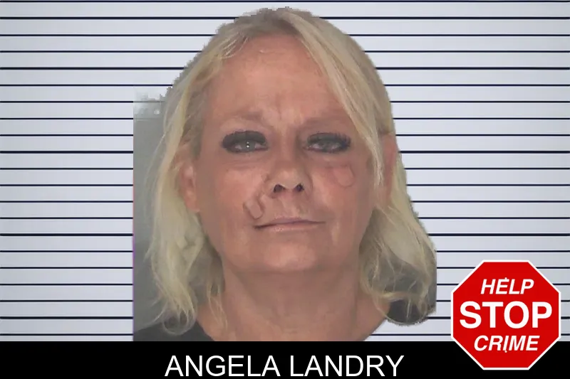 Angela Landry mugshot