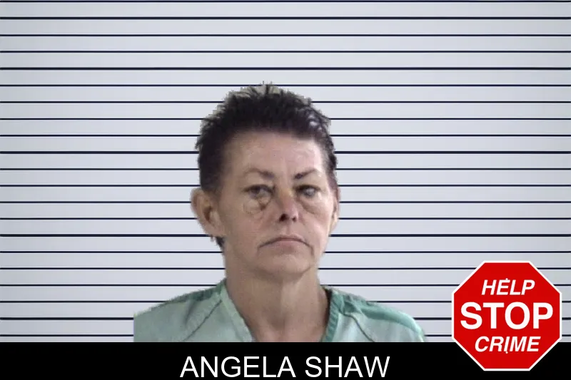 Angela Shaw mugshot – Whitfield County , Georgia Angela Shaw mugshot