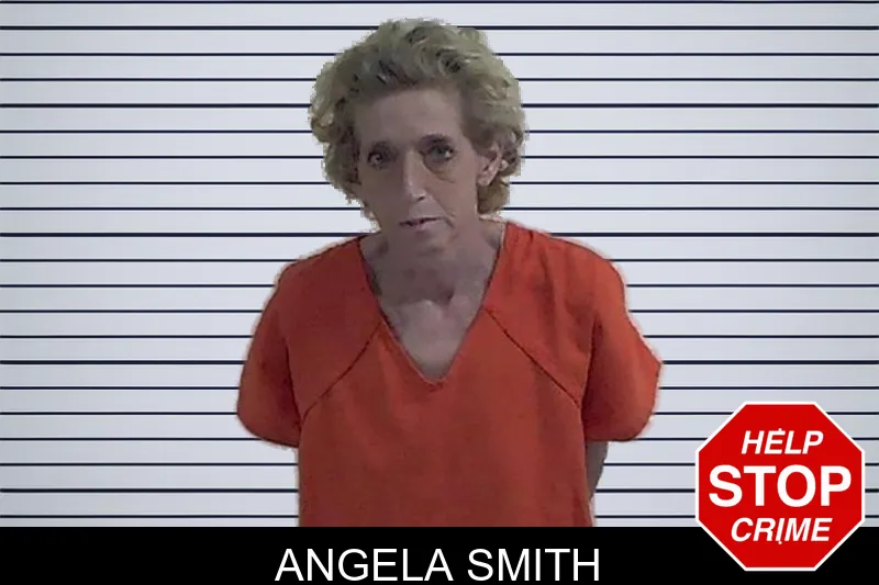 Angela Smith mugshot – Fannin County , Georgia Angela Smith mugshot