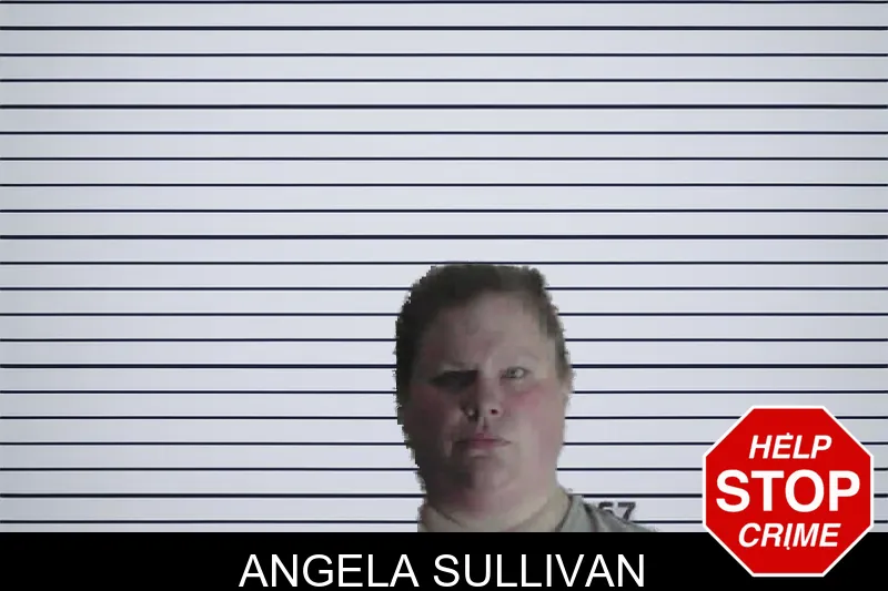 Angela Sullivan mugshot – Meriwether County , Georgia Angela Sullivan mugshot