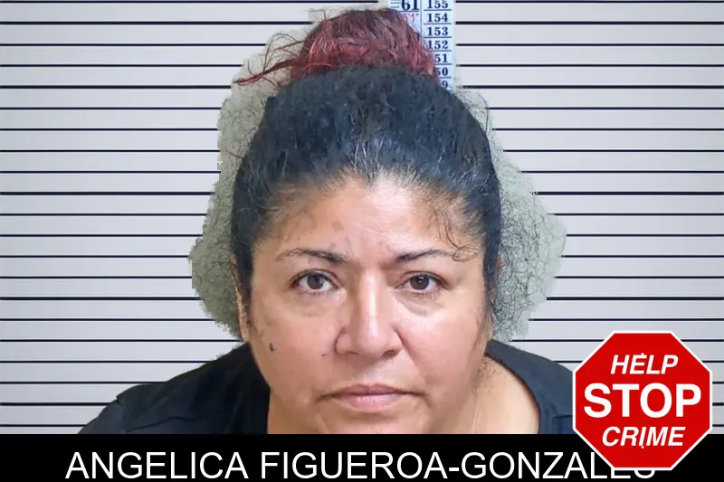 Angelica Figueroa-Gonzales mugshot