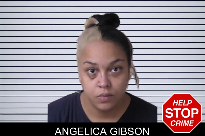 Angelica Gibson mugshot – Walker County , Georgia Angelica Gibson mugshot