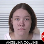 Angelina Collins mugshot – Walker County , Georgia Angelina Collins mugshot