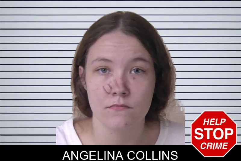 Angelina Collins mugshot – Walker County , Georgia Angelina Collins mugshot