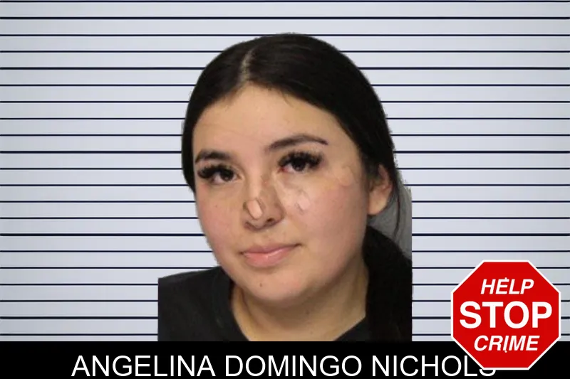 Angelina Domingo Nichols mugshot – Hall County , Georgia Angelina Domingo Nichols mugshot