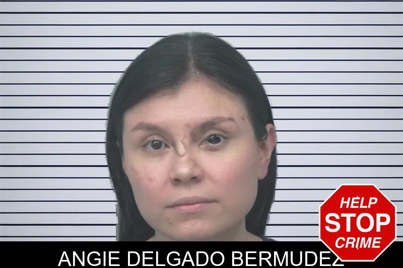 Angie Delgado Bermudez mugshot