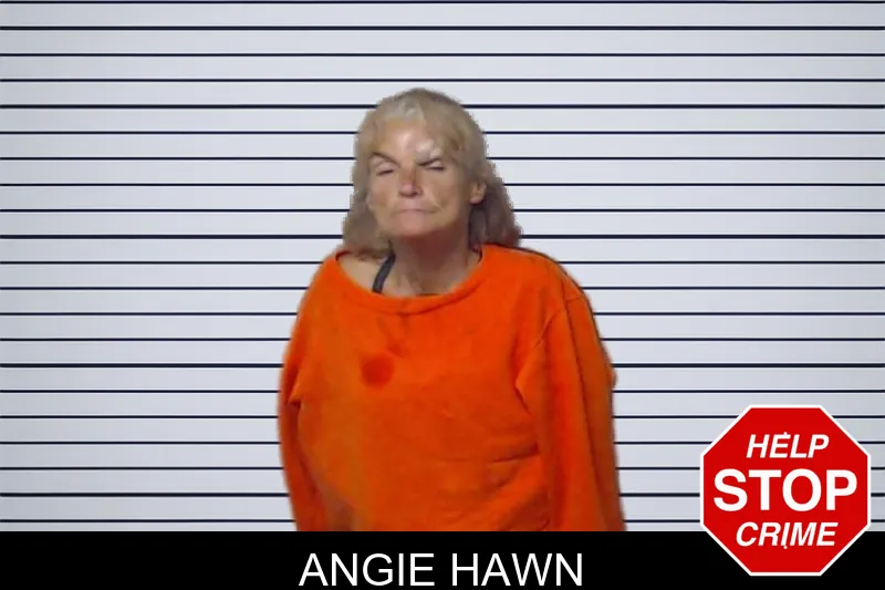 Angie Hawn mugshot – DeKalb County , Georgia Angie Hawn mugshot