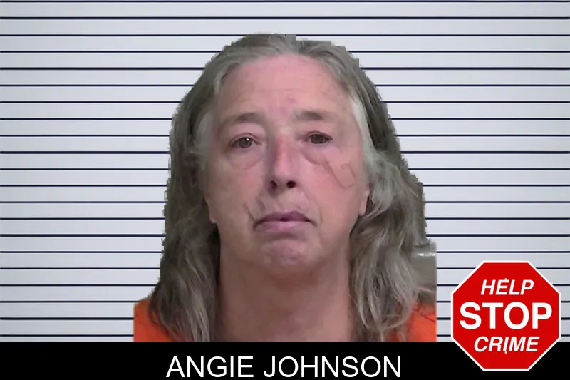 Angie Johnson mugshot
