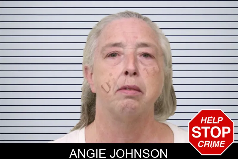 Angie Johnson mugshot – Bulloch County , Georgia Angie Johnson mugshot