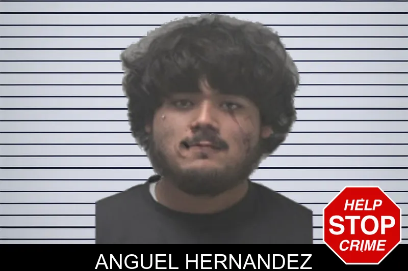 Anguel Hernandez mugshot