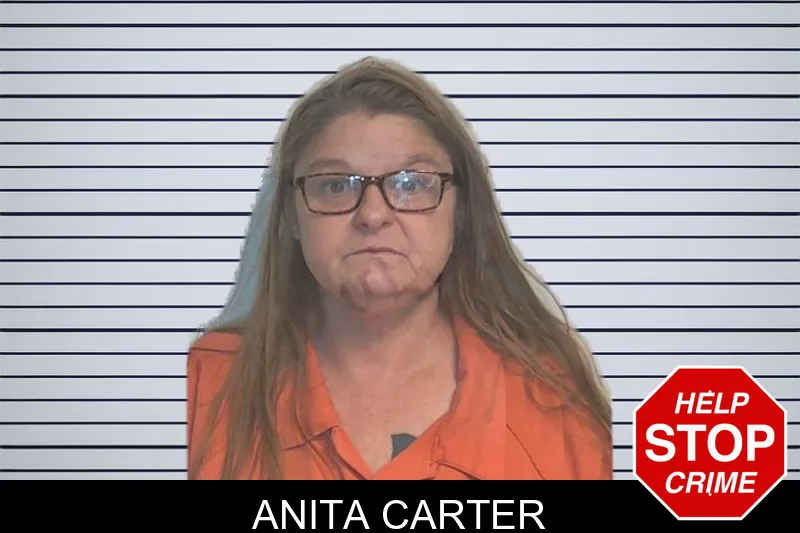 Anita Carter mugshot