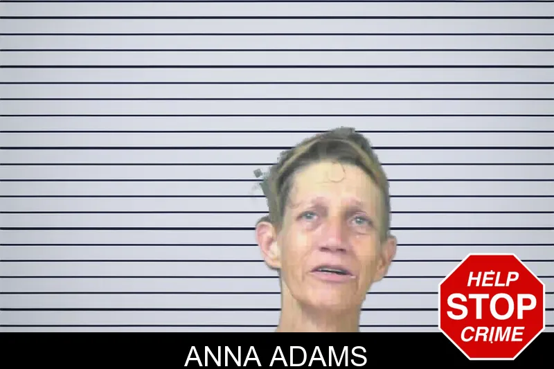 Anna Adams mugshot – Mitchell County , Georgia Anna Adams mugshot