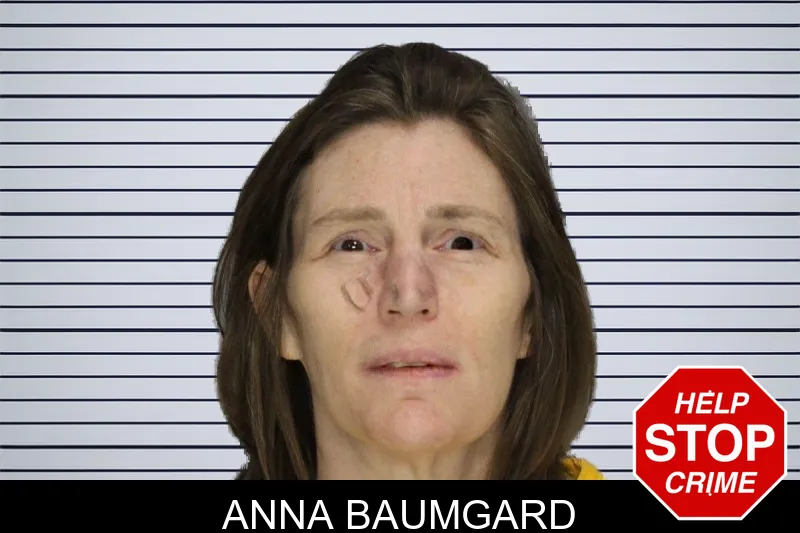 Anna Baumgard mugshot – Cobb County , Georgia Anna Baumgard mugshot