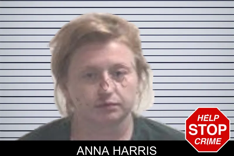 Anna Harris mugshot – Henry County , Georgia Anna Harris mugshot