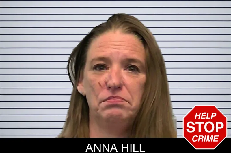 Anna Hill mugshot – Ware County , Georgia Anna Hill mugshot