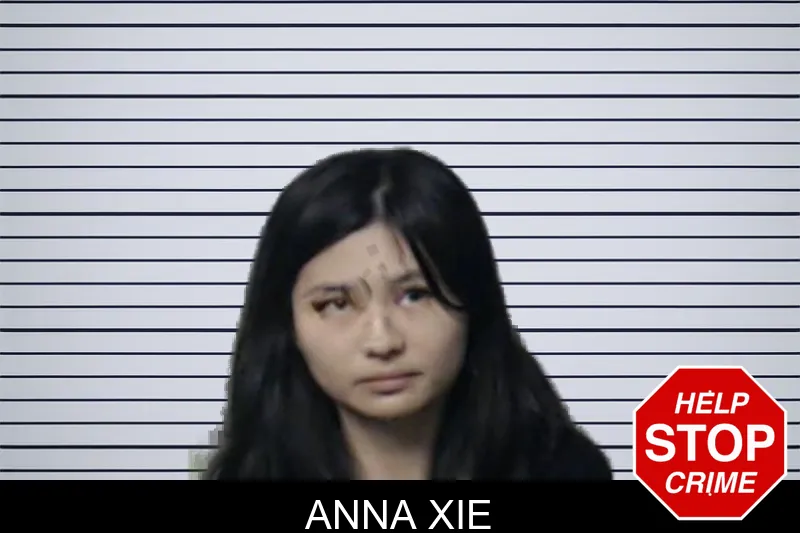 Anna Xie mugshot – DeKalb County , Georgia Anna Xie mugshot