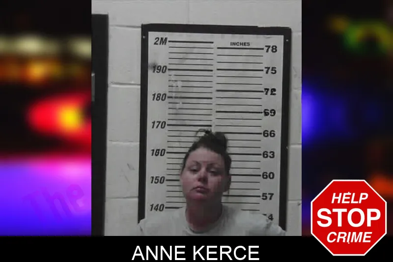 Anne Kerce mugshot – Meriwether County , Georgia Anne Kerce mugshot
