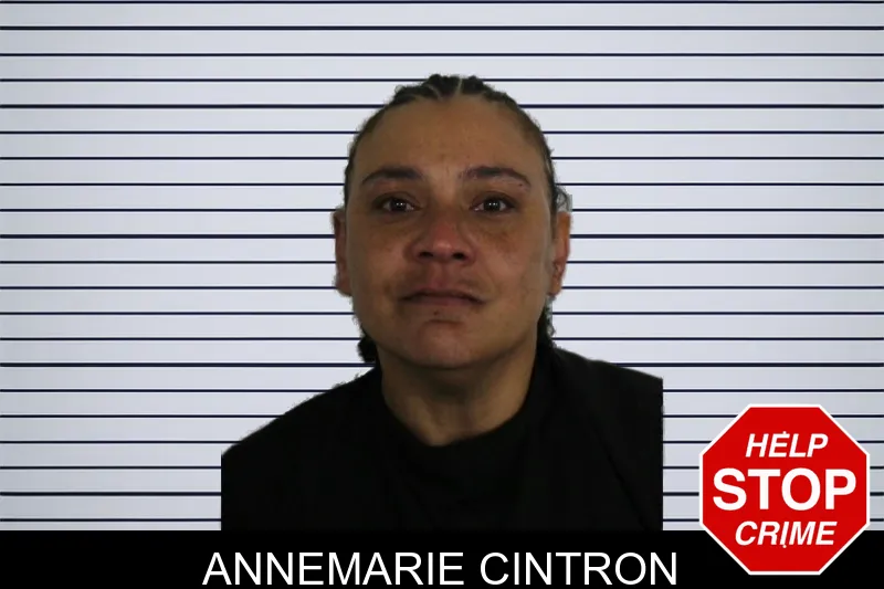 Annemarie Cintron mugshot – Floyd County , Georgia Annemarie Cintron mugshot