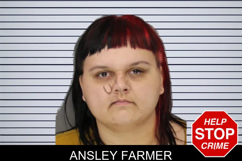 Ansley Farmer mugshot – Cobb County , Georgia Ansley Farmer mugshot