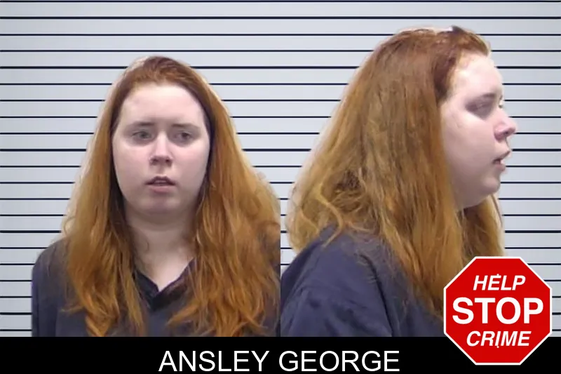 Ansley George mugshot – Clarke County , Georgia Ansley George mugshot