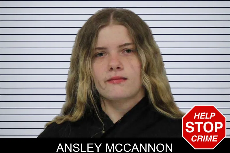 Ansley McCannon mugshot – Carroll County , Georgia Ansley McCannon mugshot