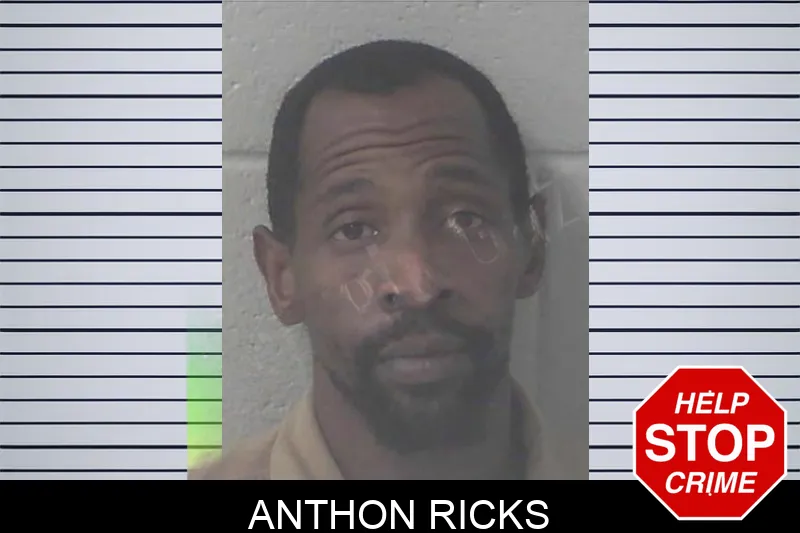 Anthon Ricks mugshot – Newton County , Georgia Anthon Ricks mugshot