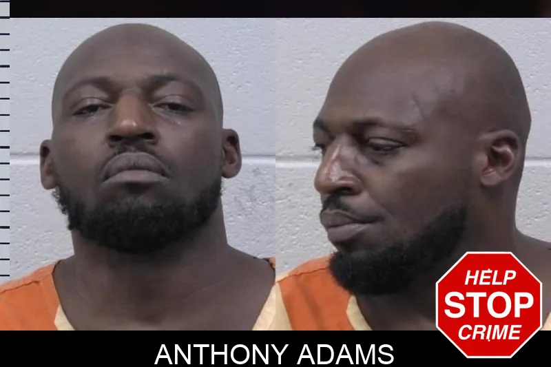 Anthony Adams mugshot – Paulding County , Georgia Anthony Adams mugshot
