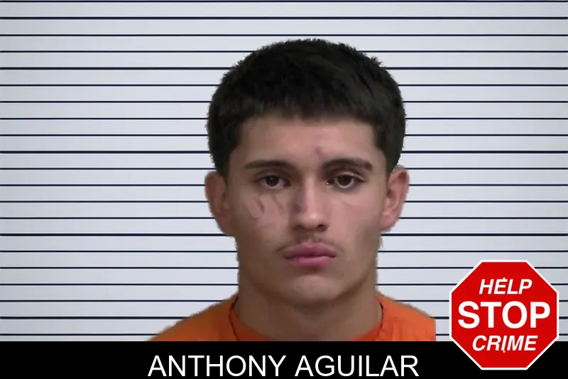 Anthony Aguilar mugshot – Wayne County , Georgia Anthony Aguilar mugshot