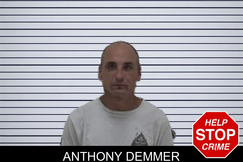 Anthony Demmer mugshot – Coffee County , Georgia Anthony Demmer mugshot