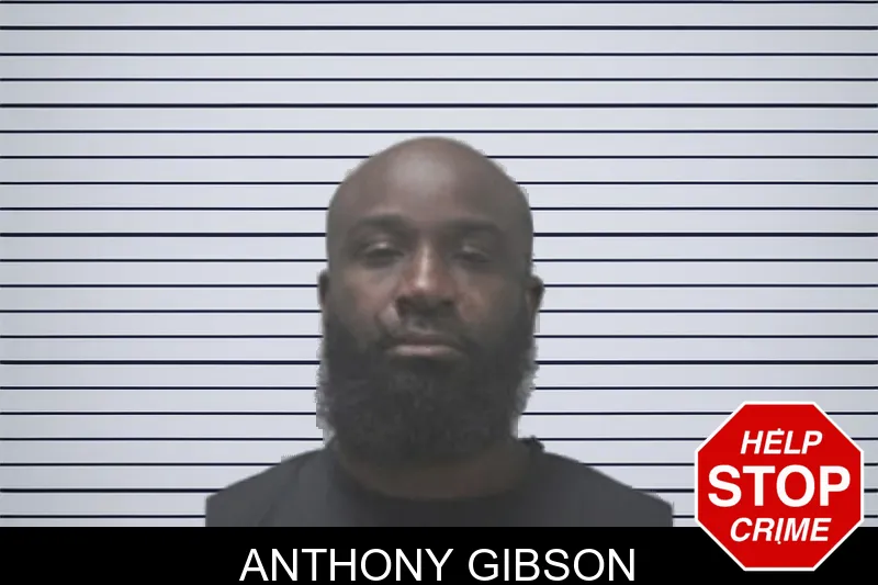 Anthony Gibson mugshot – Coweta County , Georgia Anthony Gibson mugshot