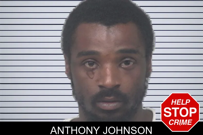 Anthony Johnson mugshot – Gwinnett County , Georgia Anthony Johnson mugshot