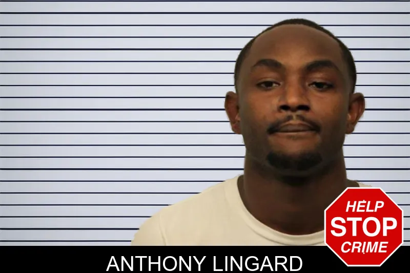 Anthony Lingard mugshot – Chatham County , Georgia Anthony Lingard mugshot