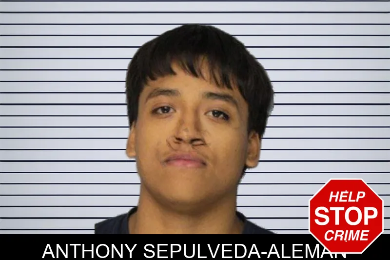 Anthony Sepulveda-Aleman mugshot