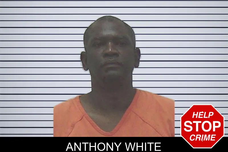 Anthony White mugshot – Worth County , Georgia Anthony White mugshot