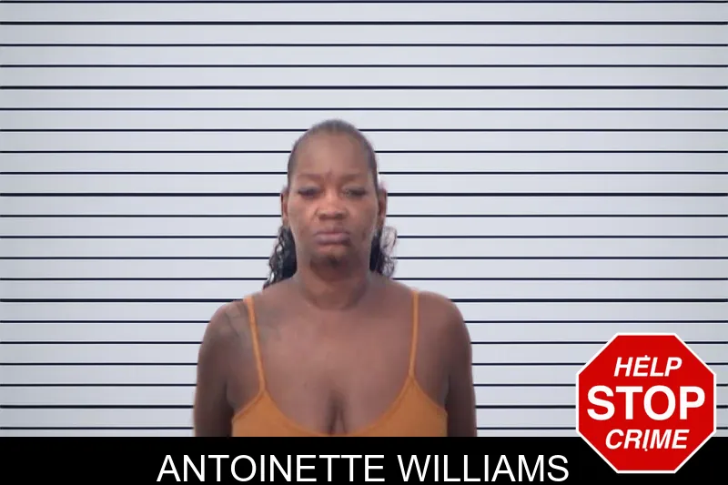 Antoinette Williams mugshot – Emanuel County , Georgia Antoinette Williams mugshot