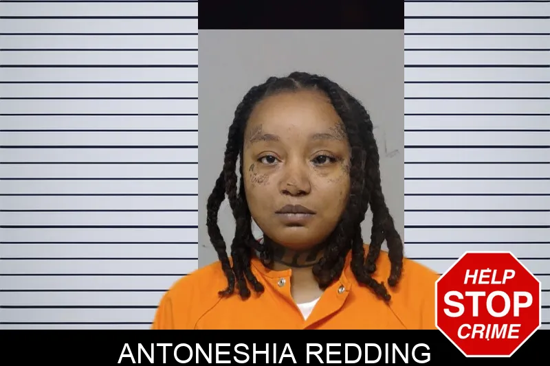 Antoneshia Redding mugshot – Bibb County , Georgia Antoneshia Redding mugshot