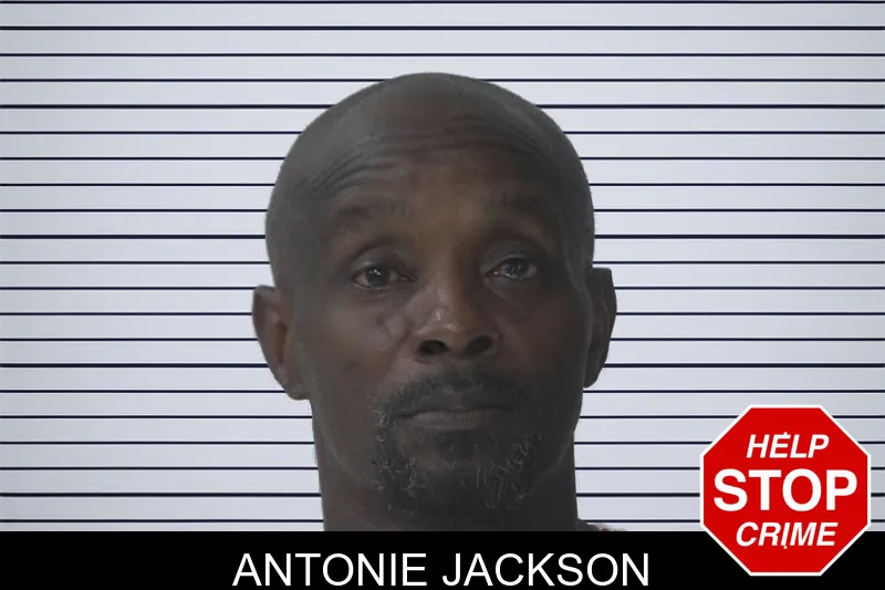 Antonie Jackson mugshot – Fayette County , Georgia Antonie Jackson mugshot