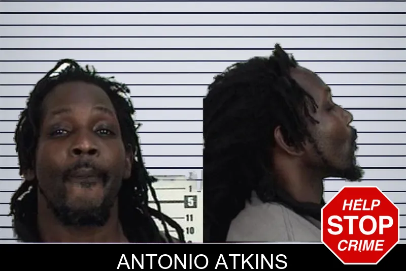 Antonio Atkins mugshot – Camden County , Georgia Antonio Atkins mugshot