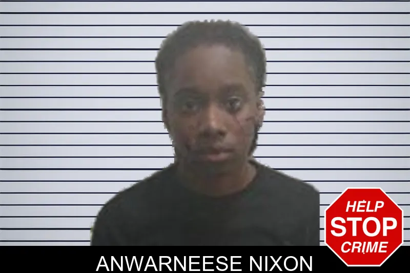 Anwarneese Nixon mugshot – Henry County , Georgia Anwarneese Nixon mugshot