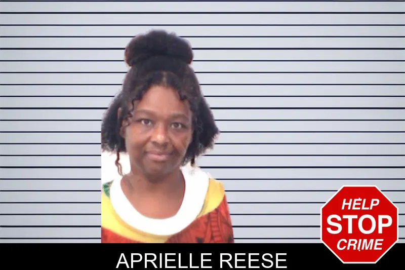 Aprielle Reese mugshot – Emanuel County , Georgia Aprielle Reese mugshot