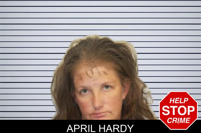 April Hardy mugshot – Chatham County , Georgia April Hardy mugshot