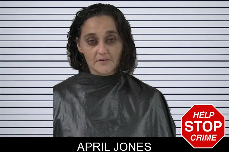 April Jones mugshot – Elbert County , Georgia April Jones mugshot