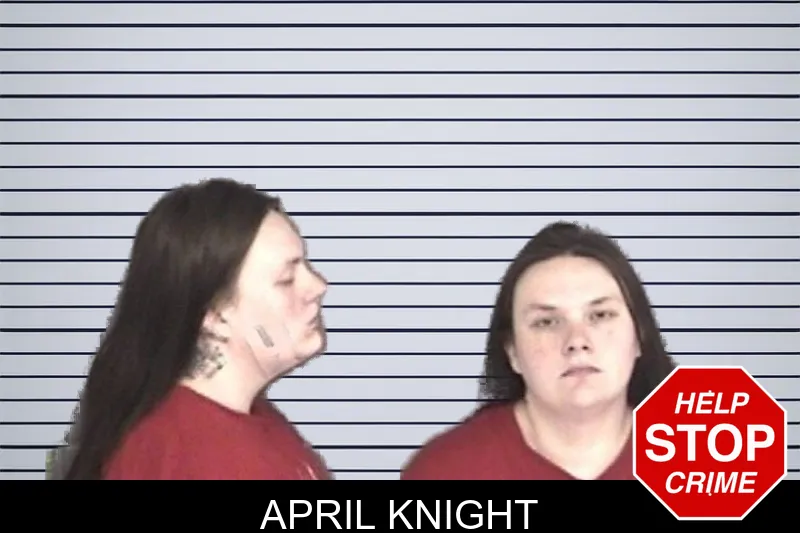 April Knight mugshot