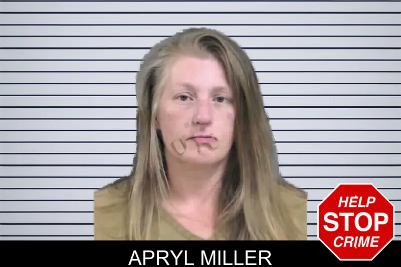 Apryl Miller mugshot – Gordon County , Georgia Apryl Miller mugshot